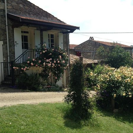 Le Vitrier Villa Saint-Jean-de-Muzols Luaran gambar